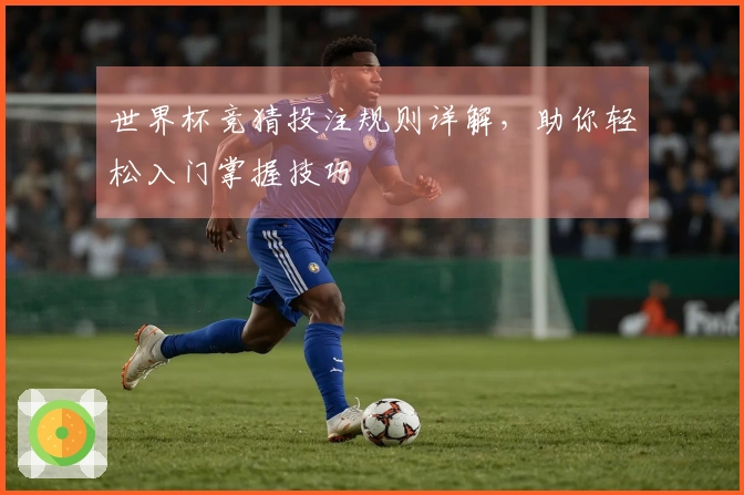 世界杯竞猜投注规则详解，助你轻松入门掌握技巧