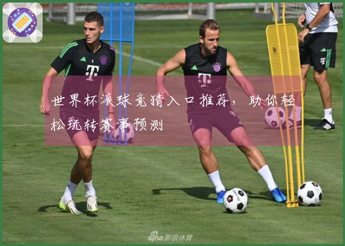 世界杯滚球竞猜入口推荐，助你轻松玩转赛事预测